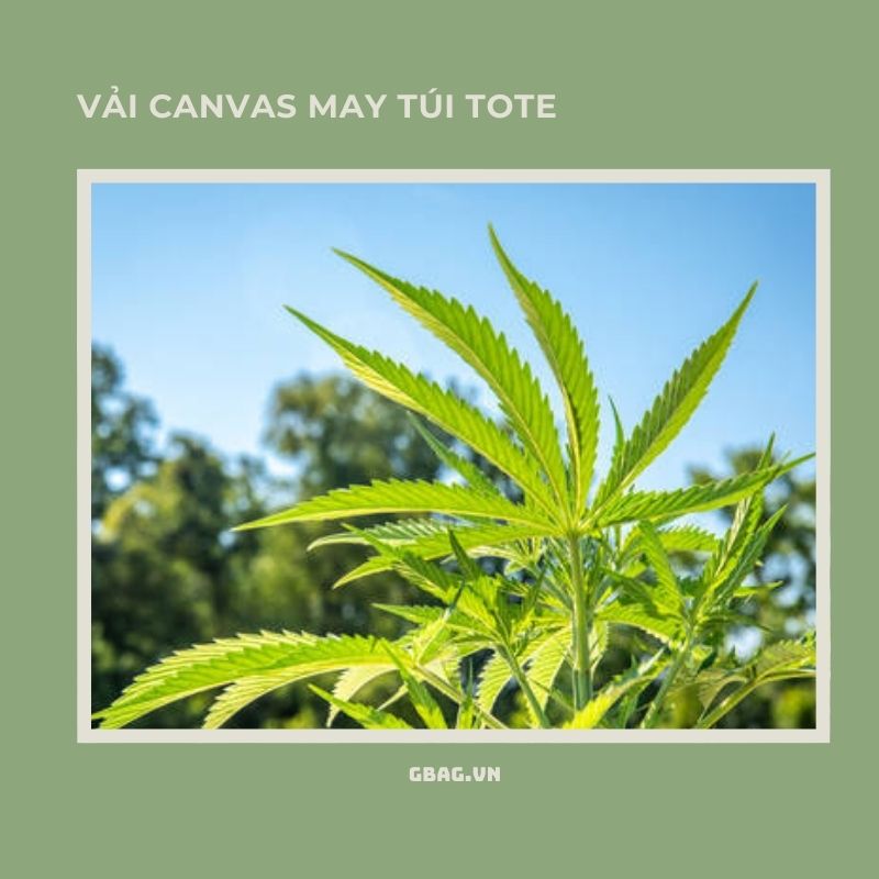 cây gai dầu vải canvas may túi tote hoa tiết