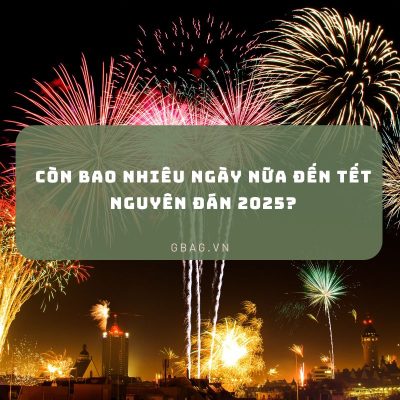 Còn bao nhiêu ngày nữa đến Tết Nguyên Đán 2025